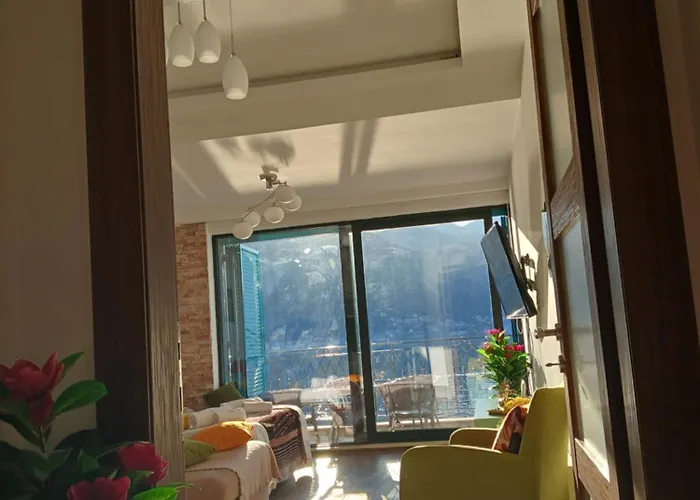 Apartment Funny